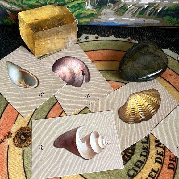 Ocean Oracle🌊🐚 - Picture 2 of 10